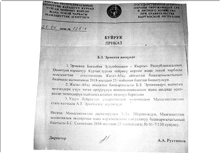 Почему глава Лесхоза Киргизии сохранил свой пост?