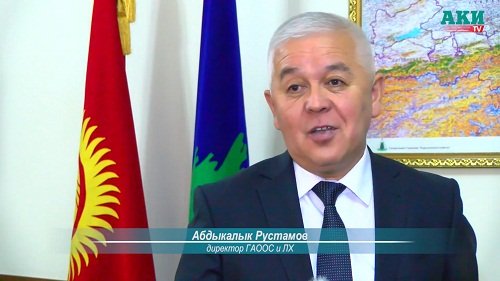 Почему глава Лесхоза Киргизии сохранил свой пост?