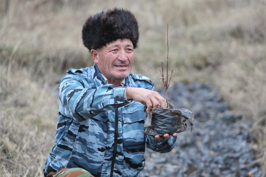 Что скрывает полог реликтового леса? Фоторепортаж