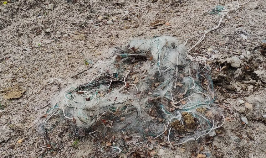 Дайверами-волонтёрами выявлены очередные места большого скопления старых рыболовных сетей